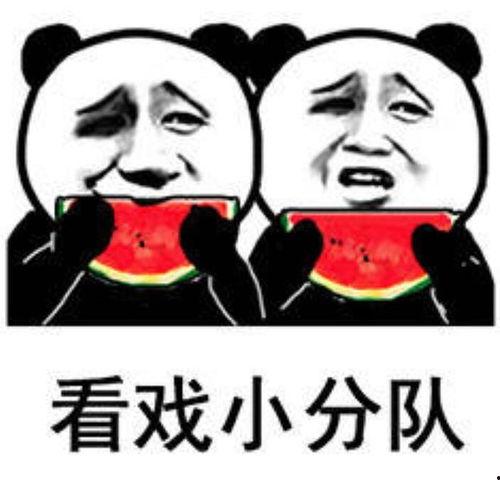 我在娱乐公司吃瓜的日子,我的吃瓜日常揭秘