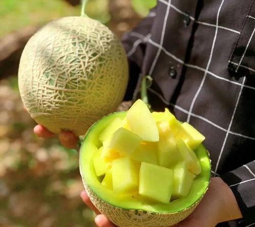 娱乐吃瓜壁纸图片大全集