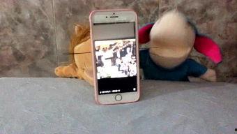 娱乐吃瓜lg,吃瓜群众眼中的明星幕后故事