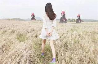 娱乐吃瓜酱背影图片大全,娱乐吃瓜酱背影图片大全揭秘